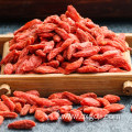 Raw organic goji dried berries for sale